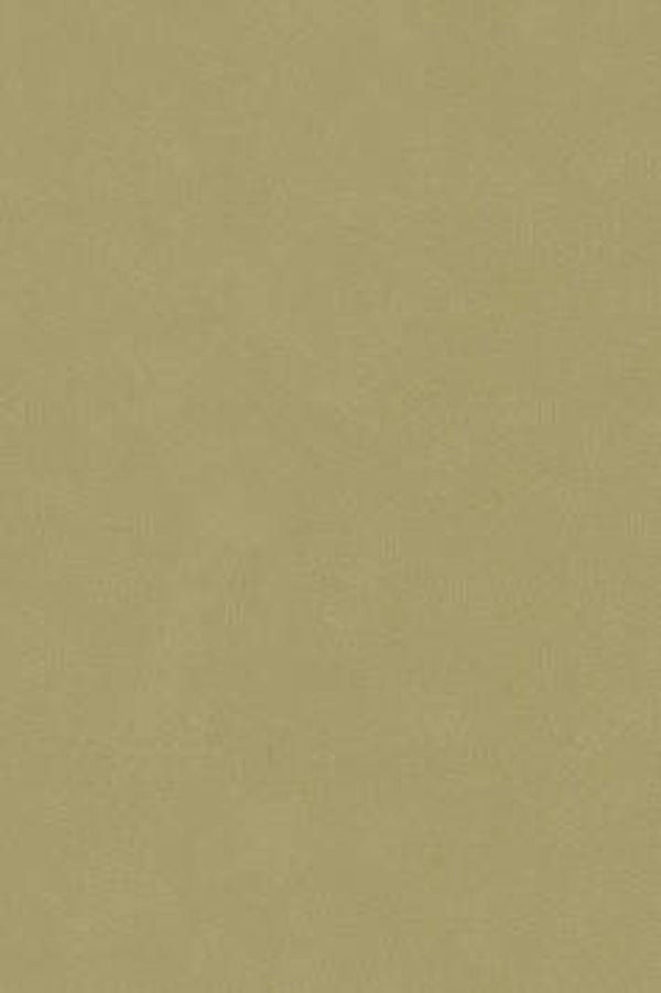 HookedonWalls Passe Partout Colour Vibes 29898