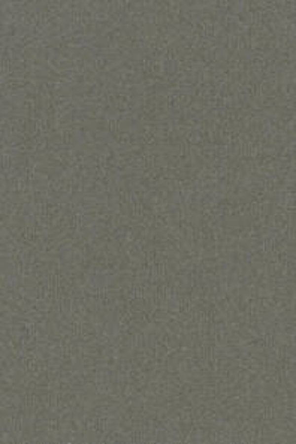 HookedonWalls Passe Partout Colour Vibes 29848