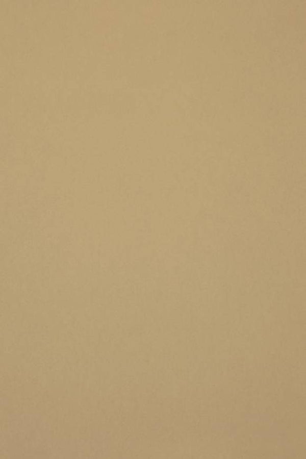 HookedonWalls Passe Partout Colour Vibes 29888