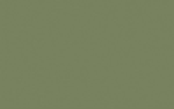 Little Greene Sage Green 80 (Intelligent Gloss)