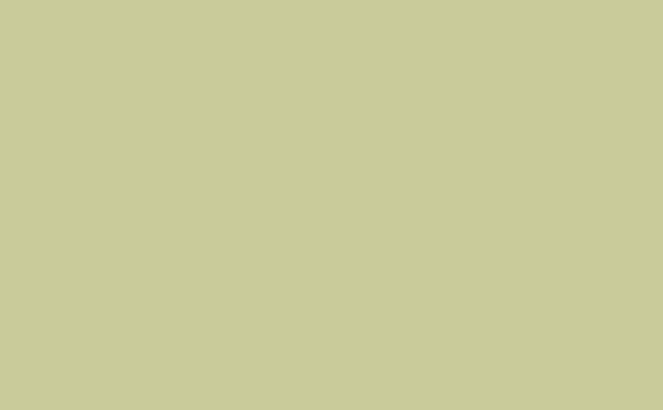 Little Greene Kitchen Green 85 (Intelligent Matt Emulsion)