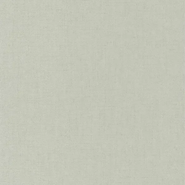 Casadeco Textiles Uni Flanelle TEXI 8532 72 86