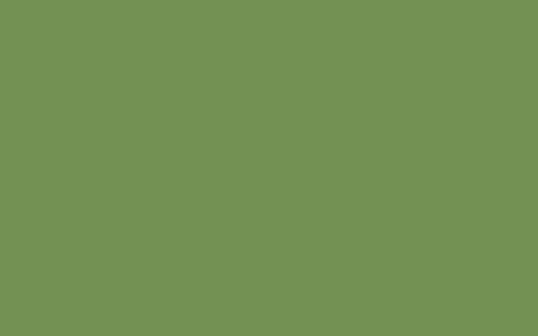 Little Greene Garden 86 (Absolute Matt Emulsion)