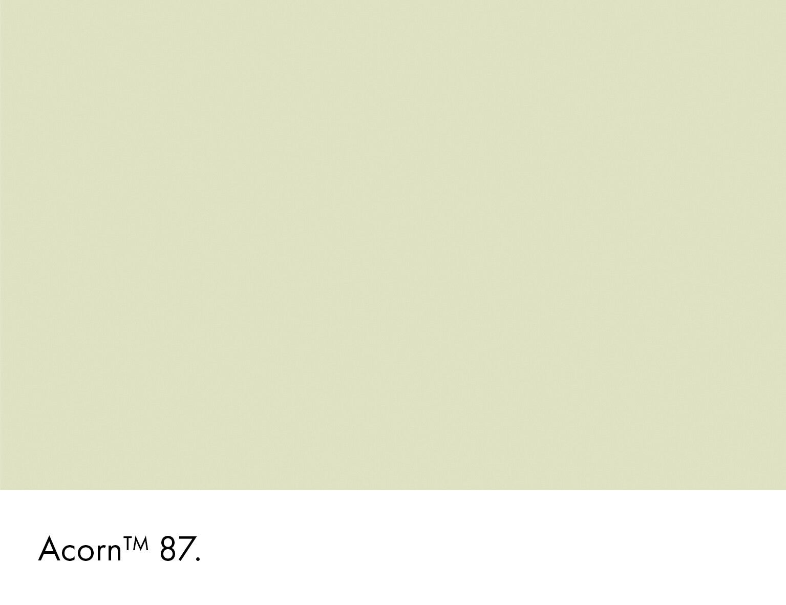 Little Greene Acorn 87 (Intelligent Eggshell)