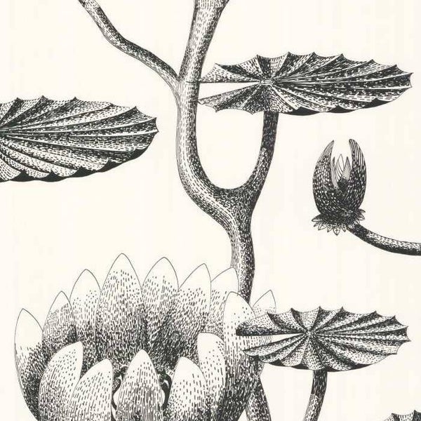 Cole & Son Contemporary Restyled Lily 95/4020