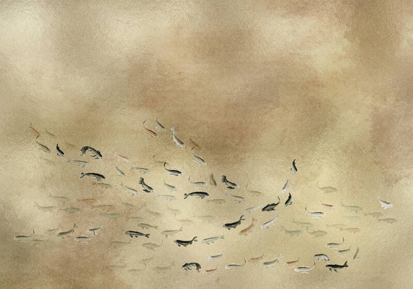 Coordonné Random Metallics l Koi Gold 9600060