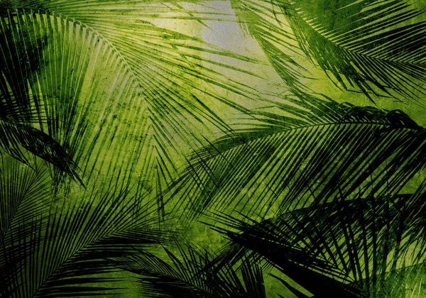 Coordonné Random Metallics l Palms Silver 9600601