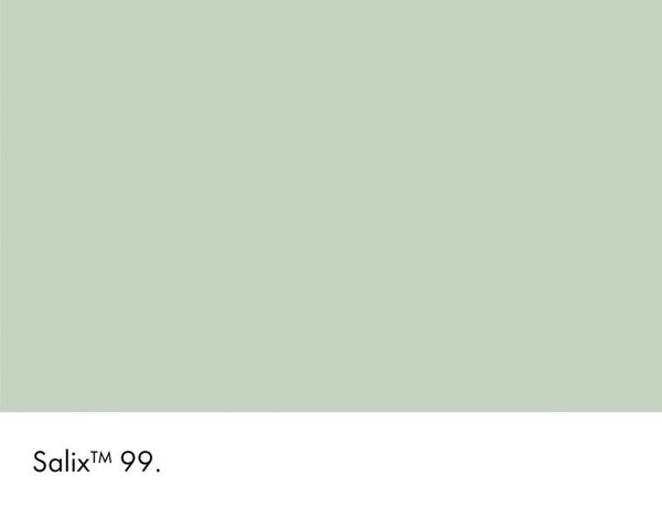 Little Greene Salix 99 (Absolute Matt Emulsion)