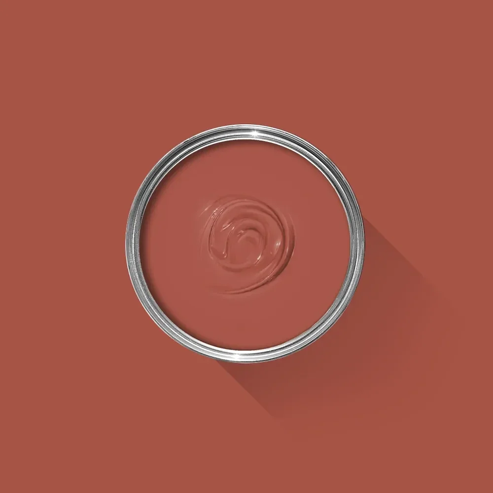 Farrow & Ball Bamboozle 304 Casein Distemper
