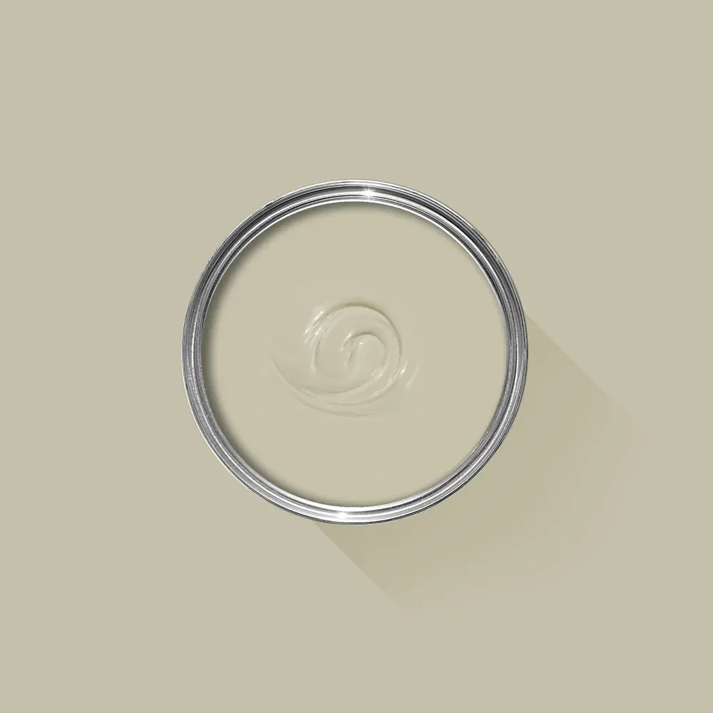 Farrow & Ball Bone 15 Soft Distemper