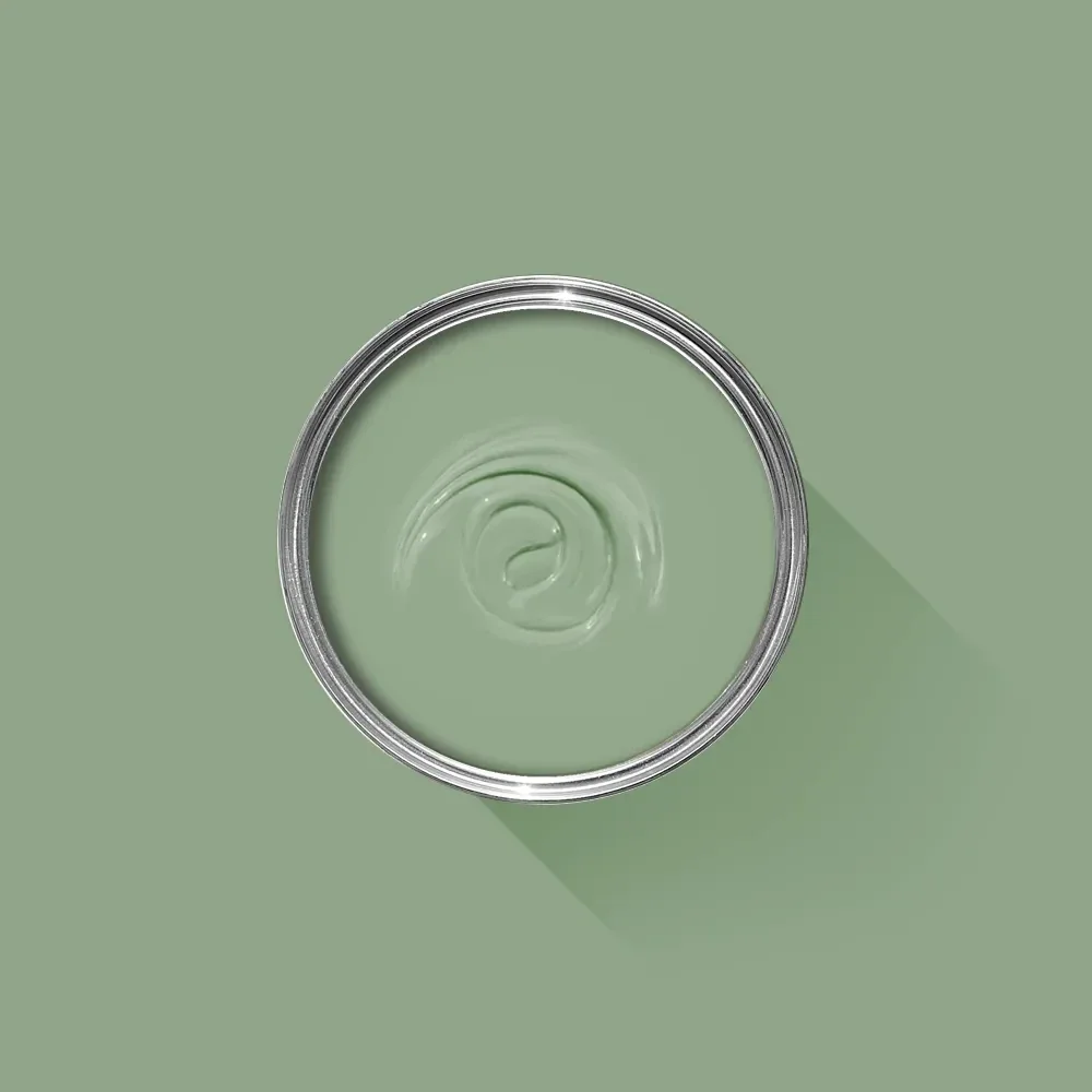Farrow & Ball Breakfast Room Green 81 Exterior Eggshell