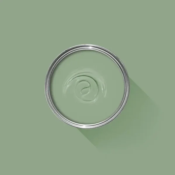 Farrow & Ball Breakfast Room Green 81 Flat Eggshell