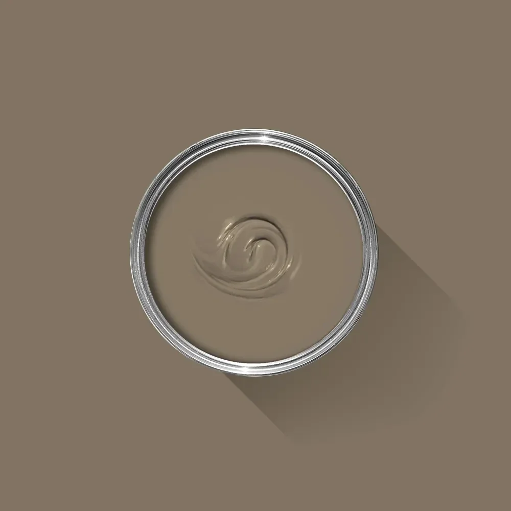 Farrow & Ball Broccoli Brown 198 (sample)