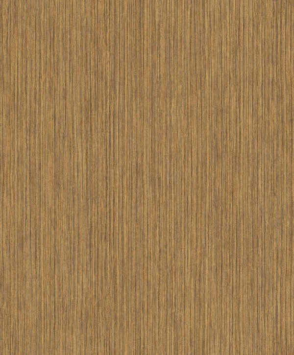 Masureel Cabinet of Curiosities Barque CAB006