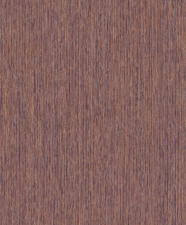 Masureel Cabinet of Curiosities Barque CAB007