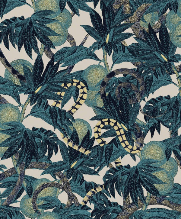 Masureel Cabinet of Curiosities Equator CAB203