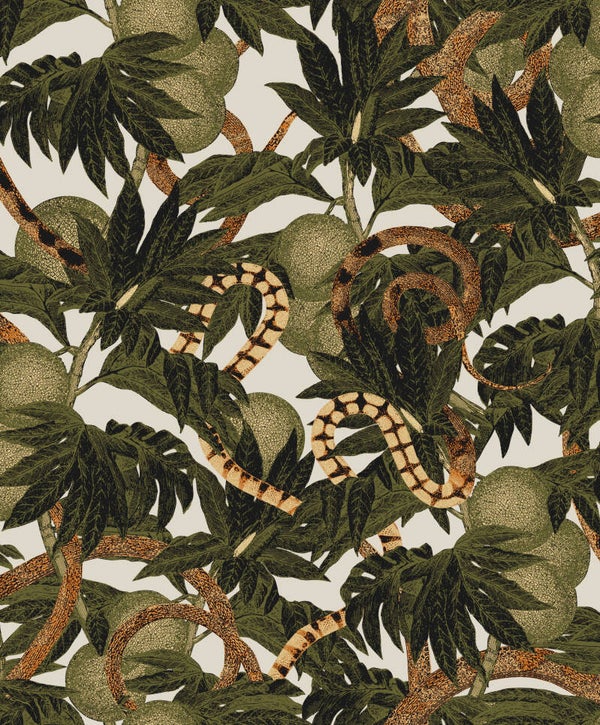 Masureel Cabinet of Curiosities Equator CAB204