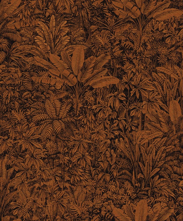 Masureel Cabinet of Curiosities Sauvage CAB304
