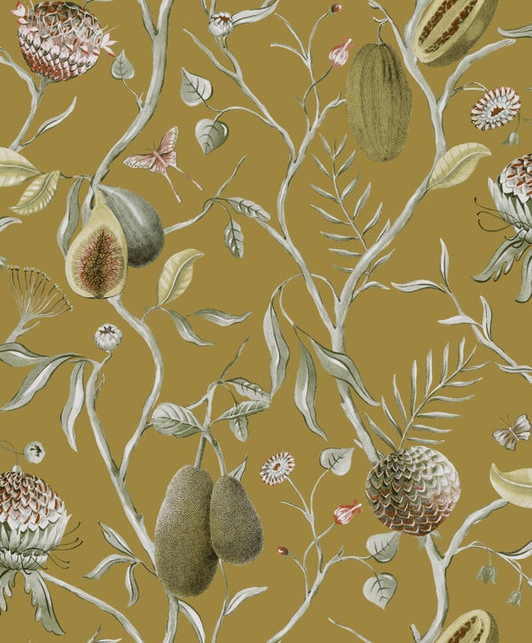 Masureel Cabinet of Curiosities Papaya CAB603