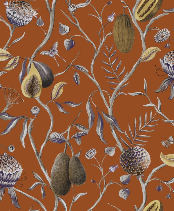 Masureel Cabinet of Curiosities Papaya CAB604