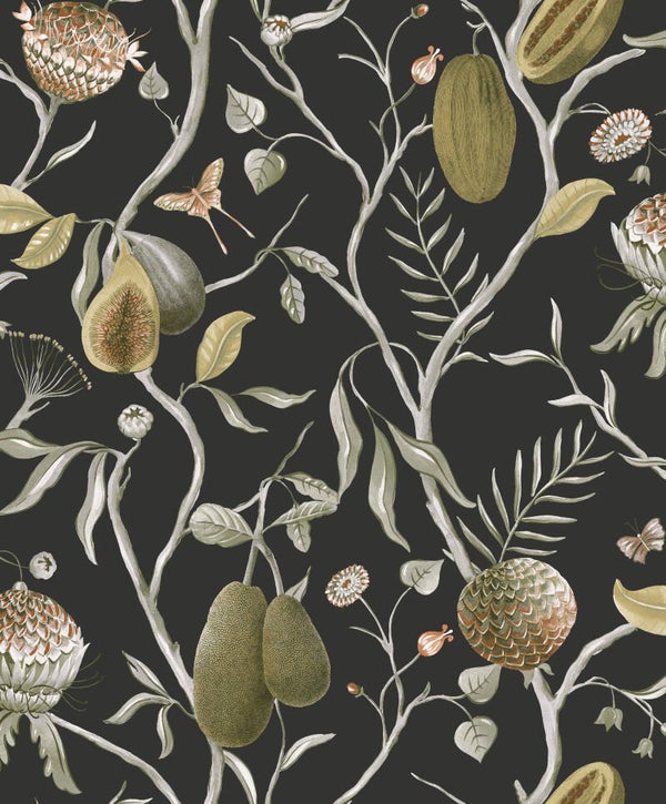 Masureel Cabinet of Curiosities Papaya CAB605