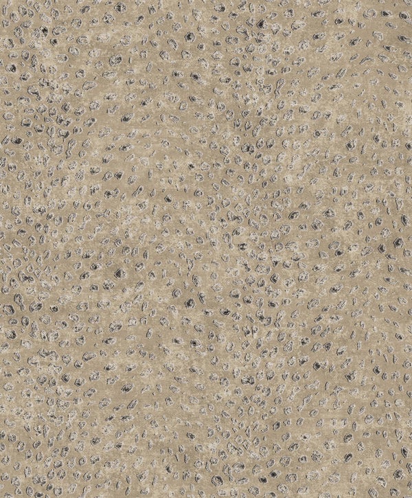 Masureel Cabinet of Curiosities Tender CAB801