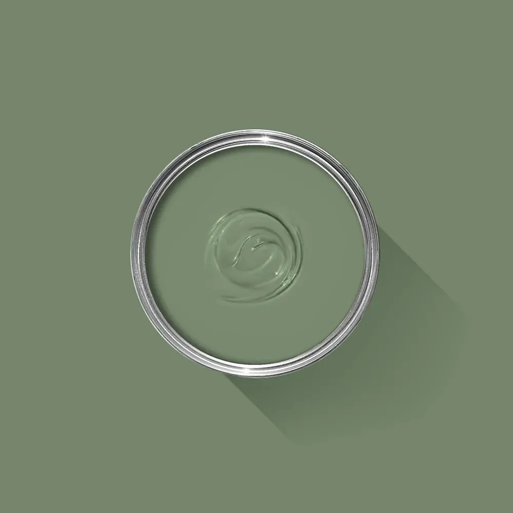 Farrow & Ball Calke Green 34 Exterior Eggshell