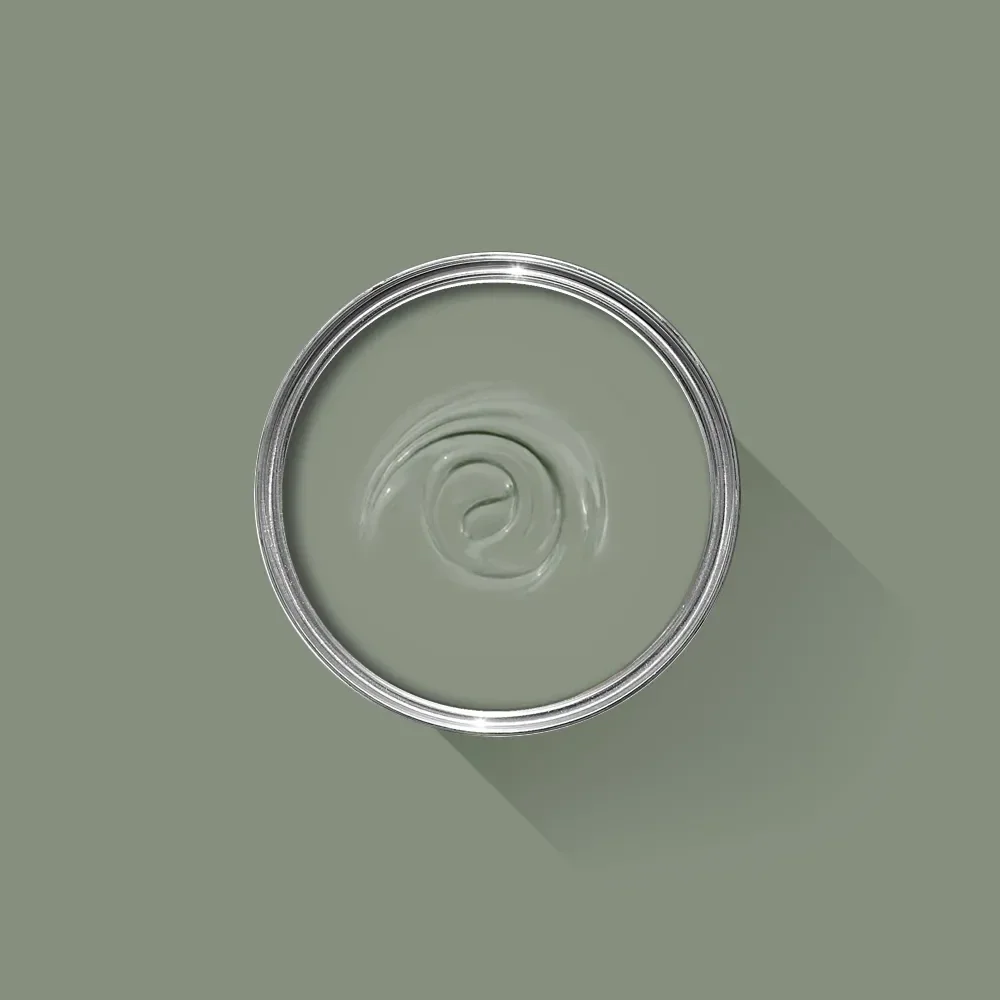 Farrow & Ball Card Room Green 79 Limewash