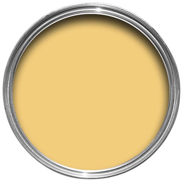 Farrow & Ball Citron 74 Dead Flat