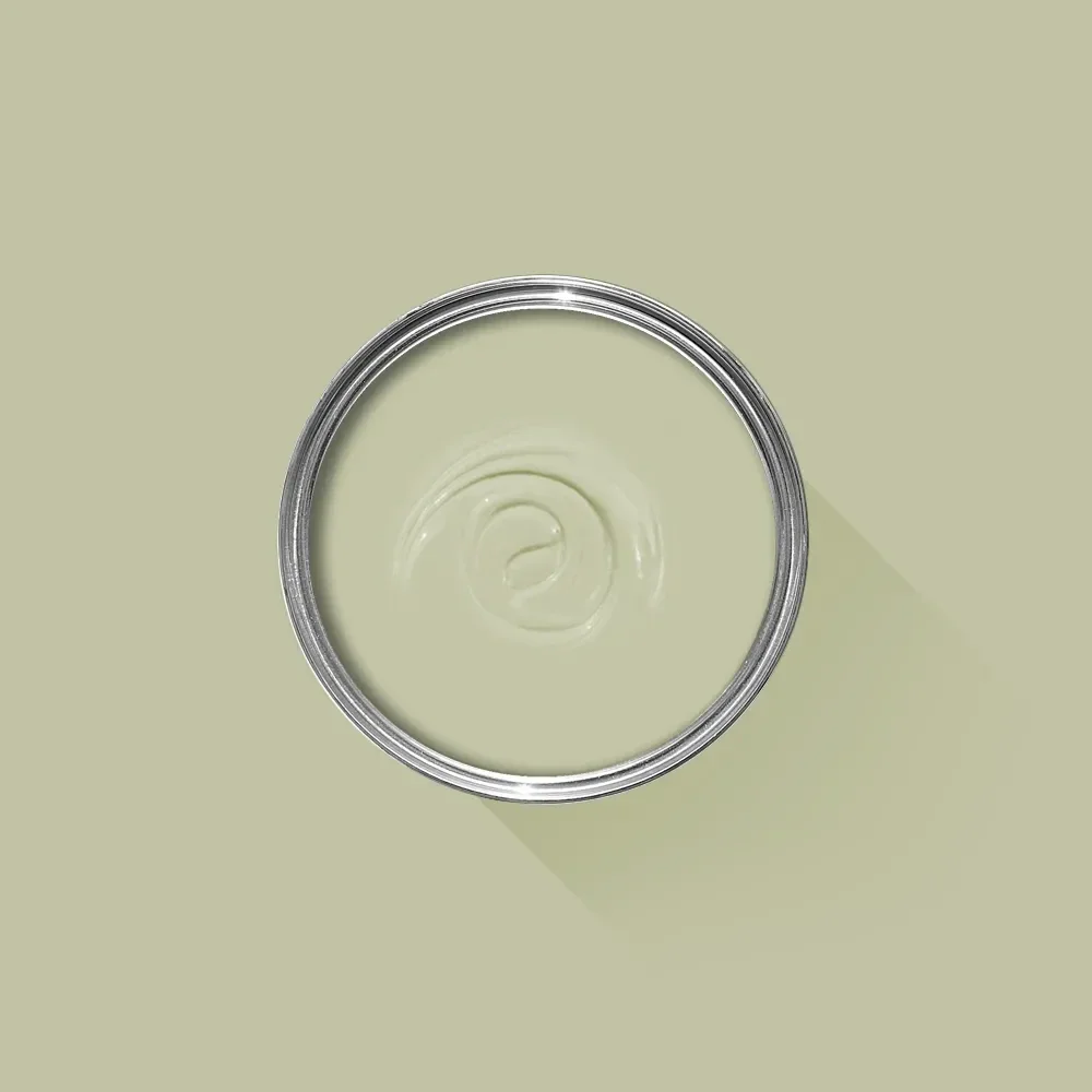 Farrow & Ball Cooking Apple Green 32 Limewash