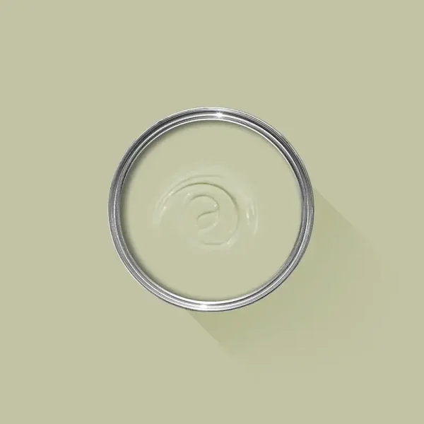 Farrow & Ball Cooking Apple Green 32 Flat Eggshell