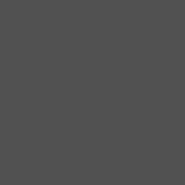 Dark Grey 19 primer
