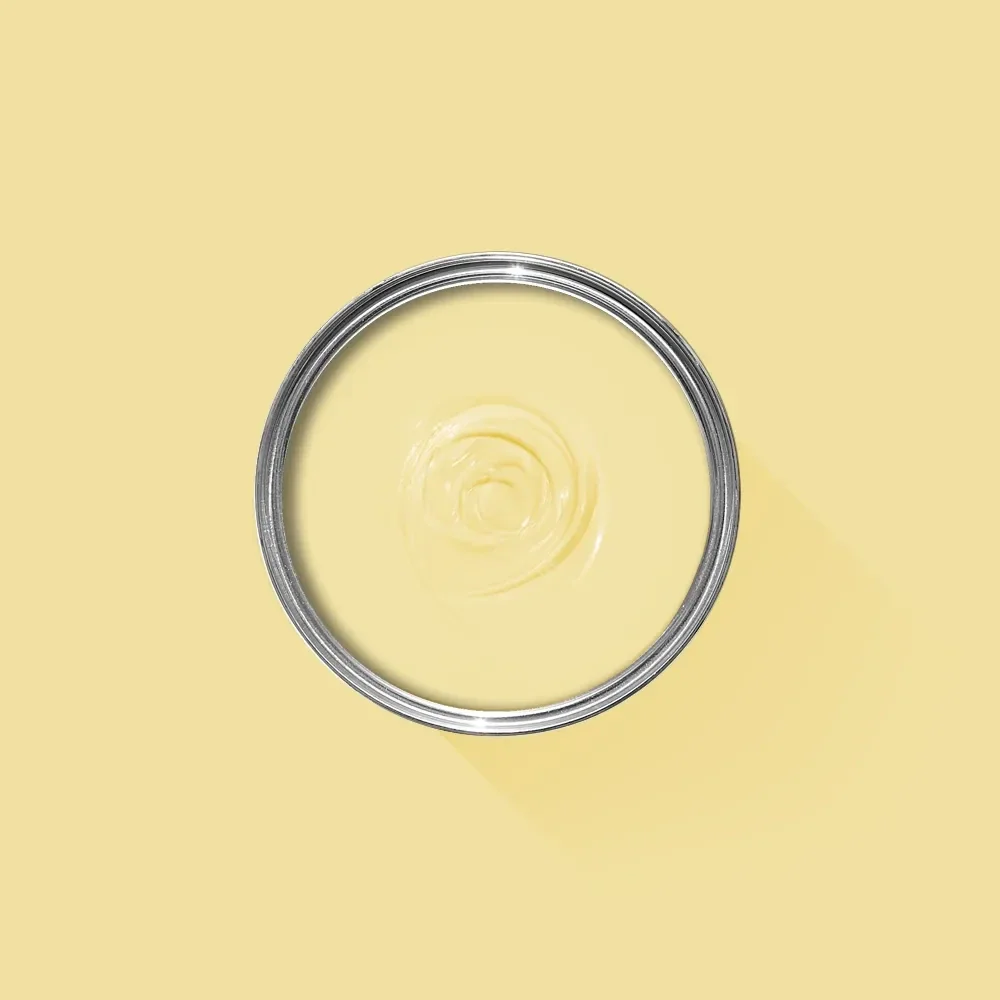 Farrow & Ball Dayroom Yellow 233 Soft Distemper