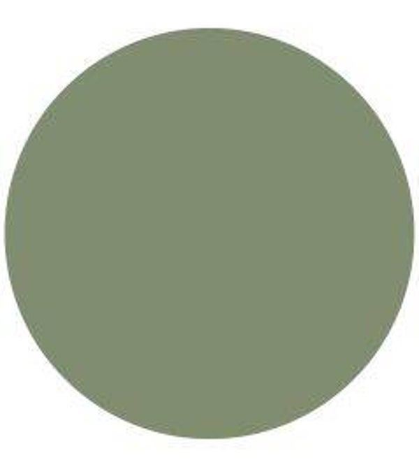 Sanderson Devon Green 79 Active Emulsion