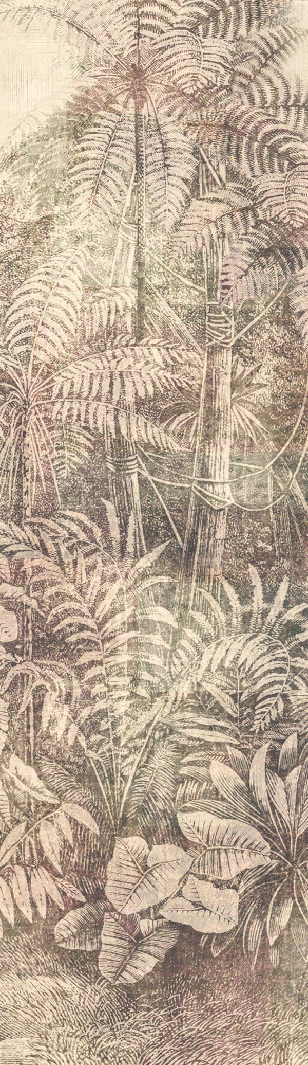 Masureel Cabinet of Curiosities Wander DGCAB1014