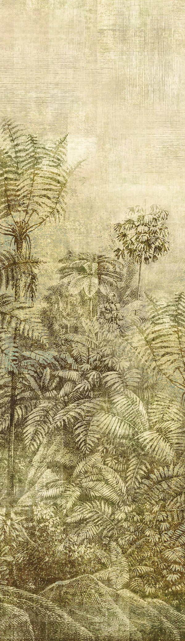 Masureel Cabinet of Curiosities Wander DGCAB1022