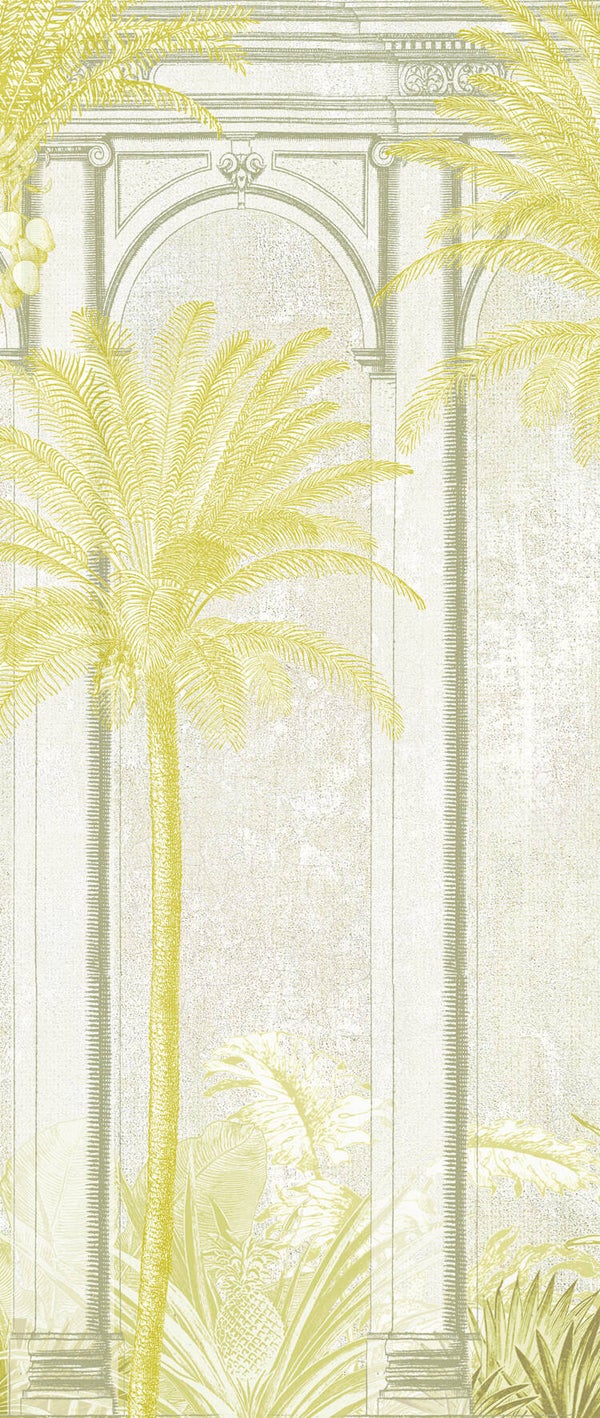 Masureel Havana Habana DGHAV1023