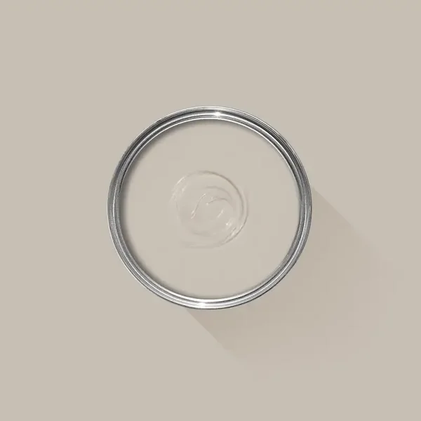 Farrow & Ball Elephant's Breath 229 Flat Eggshell