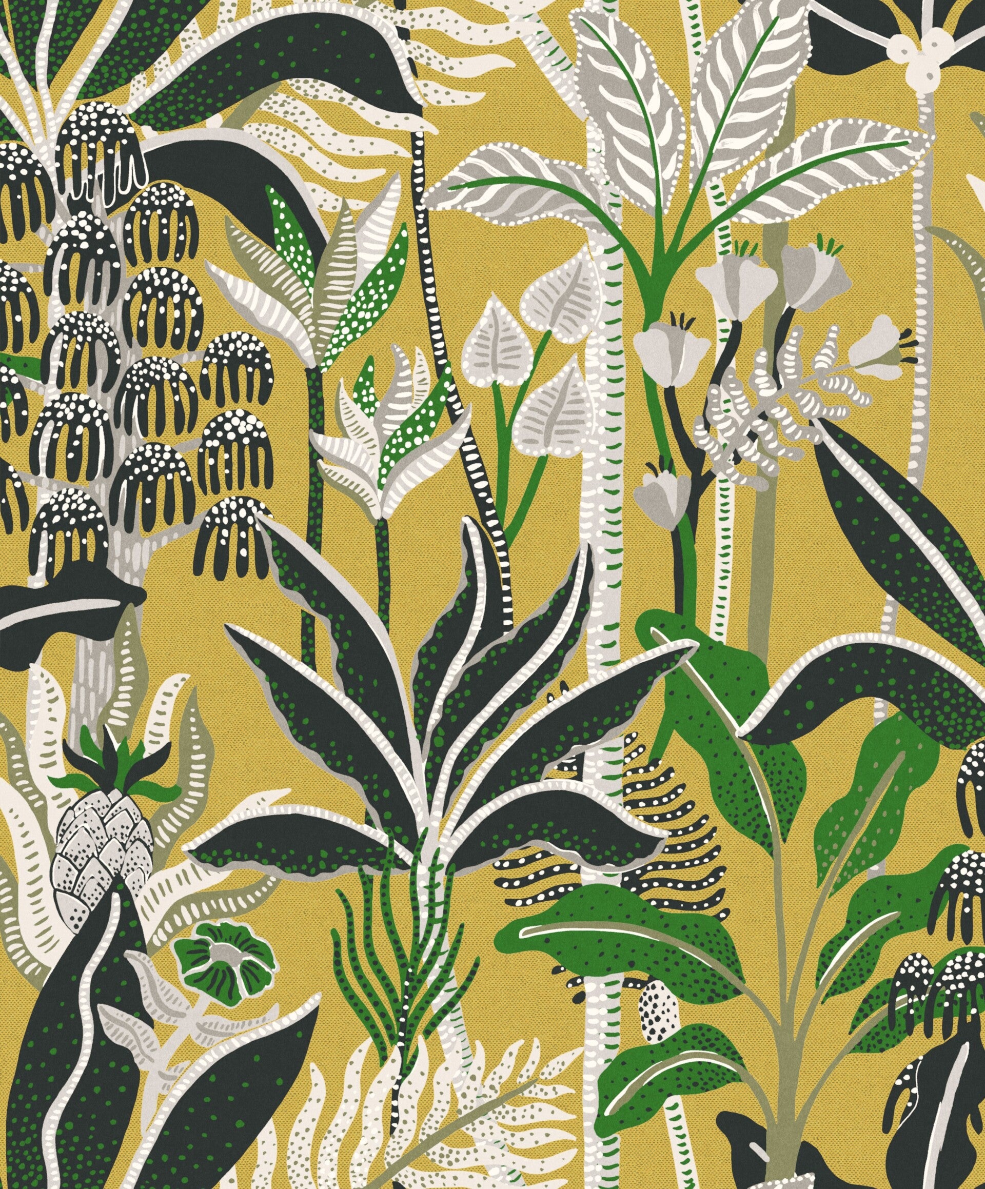 Masureel Havana Jose HAV004