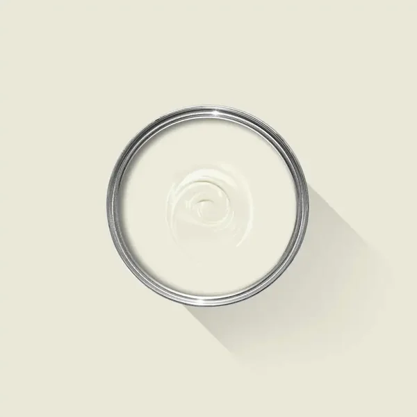 Farrow & Ball James White 2010 Dead Flat