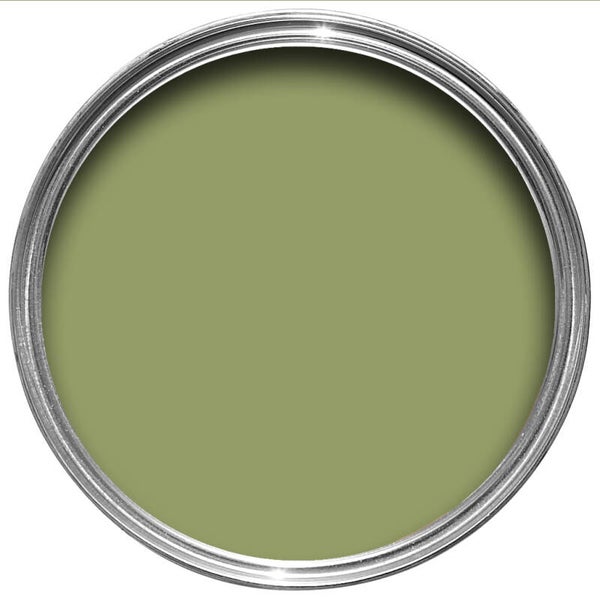Farrow & Ball Olive 13 Dead Flat
