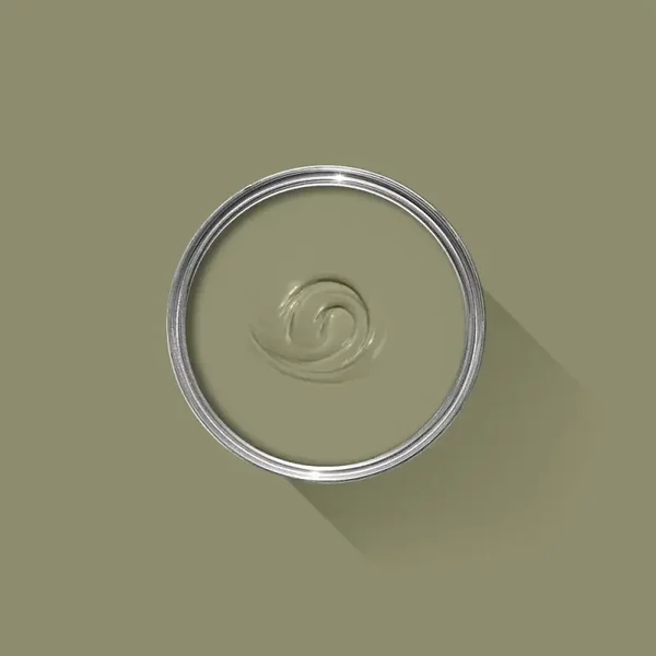 Farrow & Ball Olive 13 Exterior Eggshell