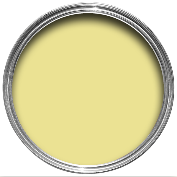 Farrow & Ball Butterweed 9802 Full Gloss