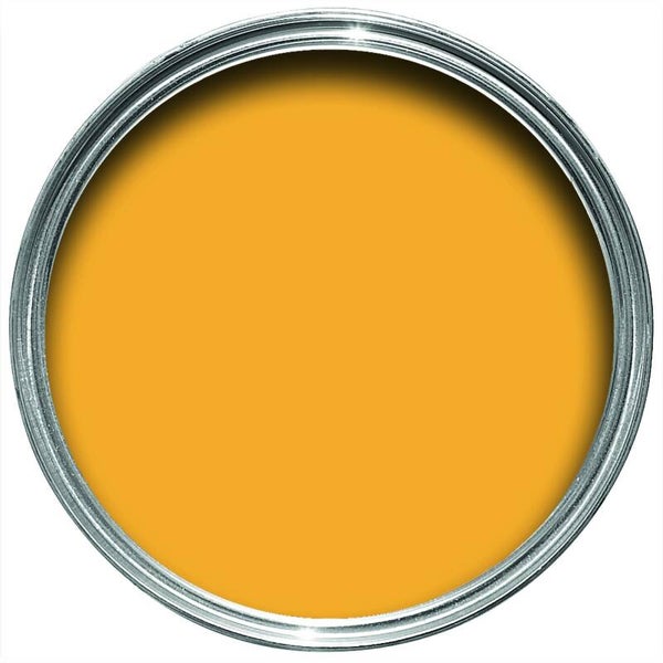 Farrow & Ball Dutch Orange W76 Flat Eggshell