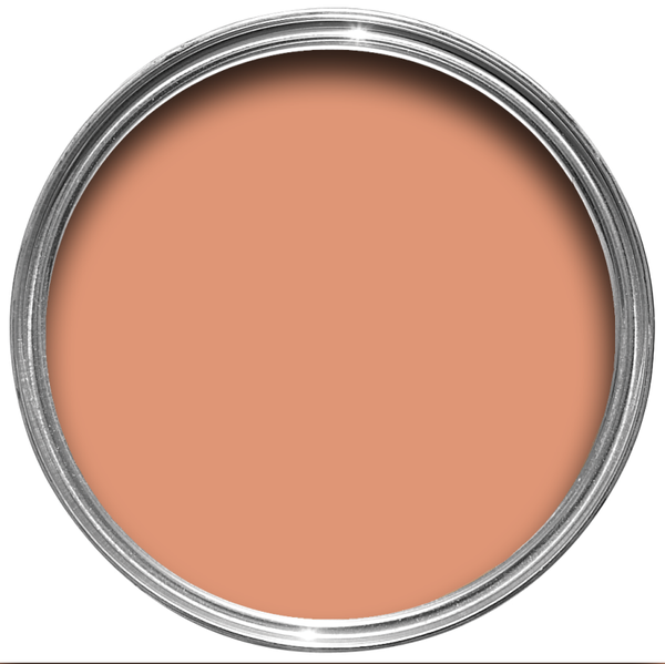Farrow & Ball Ointment Pink 21 Modern Eggshell