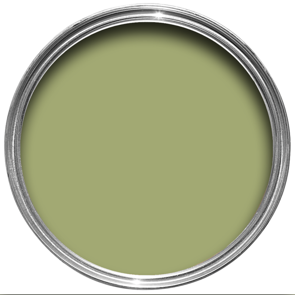 Farrow & Ball Saxon Green 80 Full Gloss
