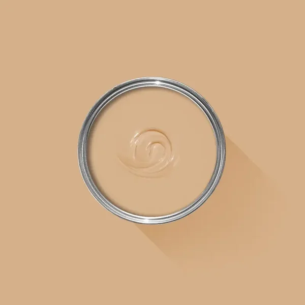 Farrow & Ball Dutch Pink 62 Exterior Eggshell