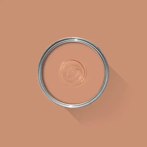 Farrow & Ball Menagerie 63 Modern Eggshell