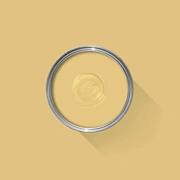Farrow & Ball Ciara Yellow 73 Dead Flat