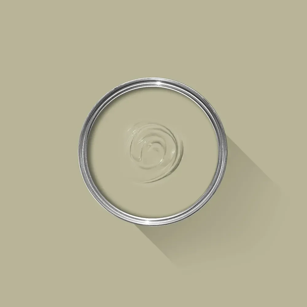 Farrow & Ball Ball Green 75 Exterior Masonry
